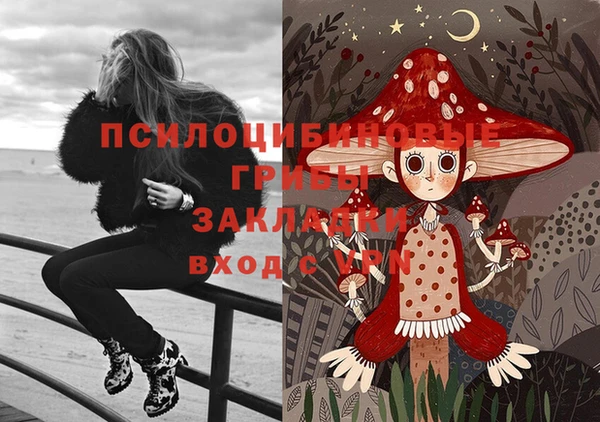 стаф Алексин
